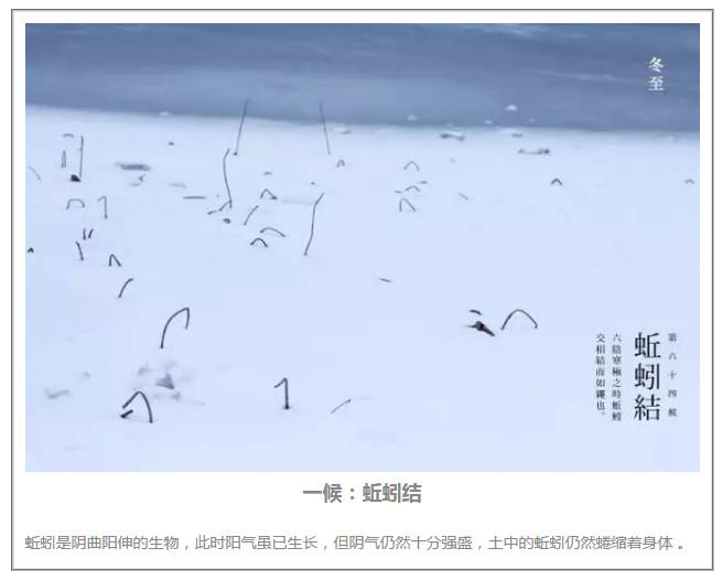 冬至三候 冬至在中国北方民俗当中有一项是画" 九九虾图".